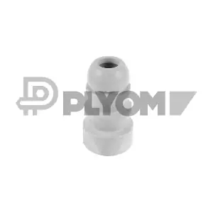 P750387 PLYOM