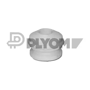 P481088 PLYOM