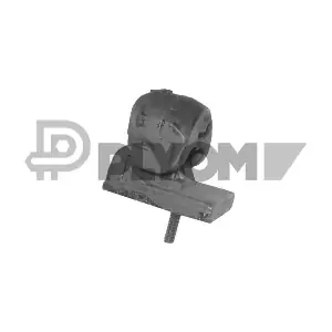 PLYOM P756589