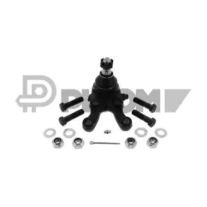 P774154 PLYOM