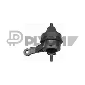 P201645 PLYOM