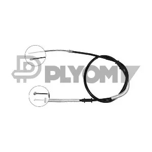 P019010 PLYOM