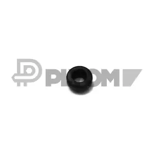 010719 PLYOM