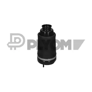 P752906 PLYOM