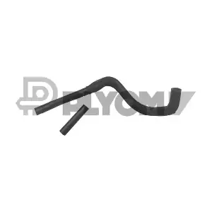 P036698 PLYOM