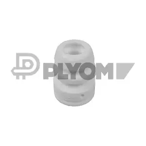 P756991 PLYOM