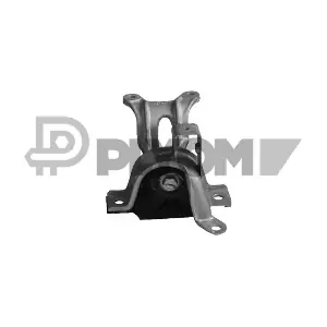 P011057 PLYOM