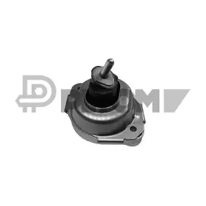P756157 PLYOM