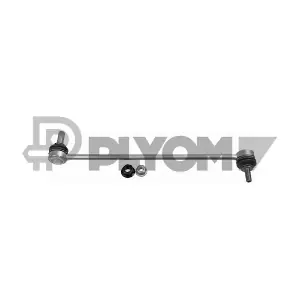 P250077 PLYOM