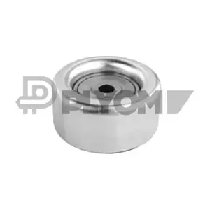 P752378 PLYOM