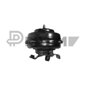 PLYOM P460098