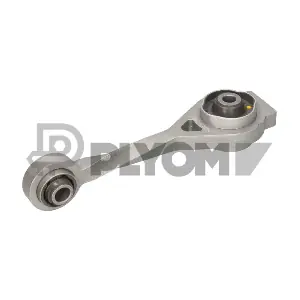 P020438 PLYOM