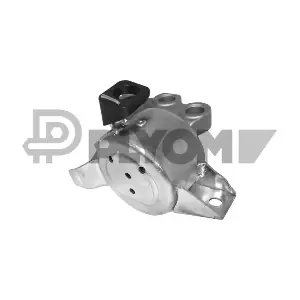 PLYOM P756205