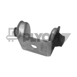P031258 PLYOM