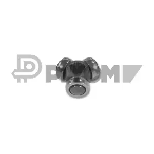 010961 PLYOM