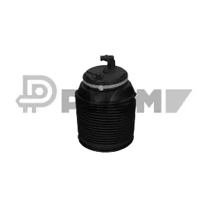 P753339 PLYOM