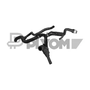 P481054 PLYOM