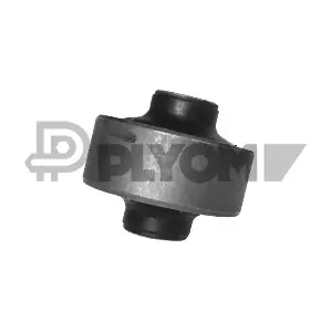 PLYOM P755405