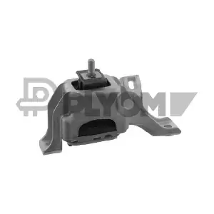 P756037 PLYOM