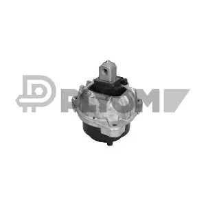 P775988 PLYOM