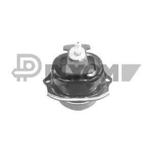 P771551 PLYOM