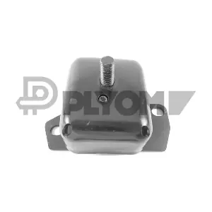 P766861 PLYOM