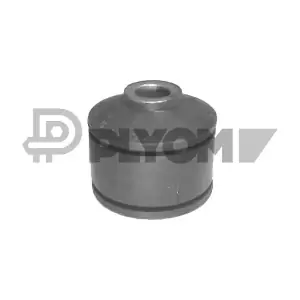 P754634 PLYOM