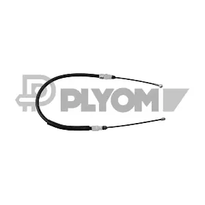 P762219 PLYOM