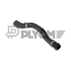 P021222 PLYOM