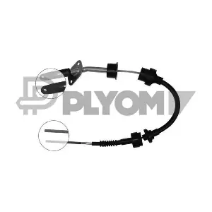 P019020 PLYOM