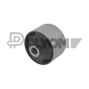 PLYOM P754623