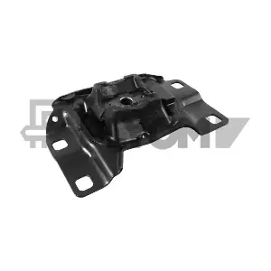 PLYOM P081155