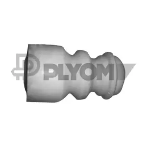 P462449 PLYOM