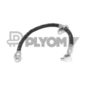 P756699 PLYOM
