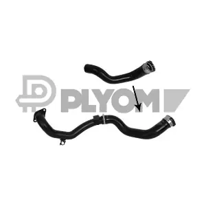 P753095 PLYOM