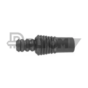 PLYOM P021307