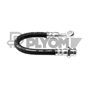 P755784 PLYOM