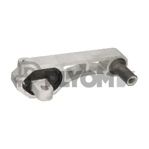 P031510 PLYOM