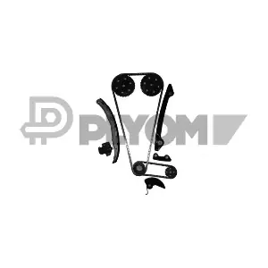 P752079 PLYOM