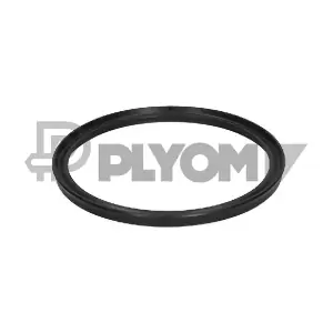 P776044 PLYOM