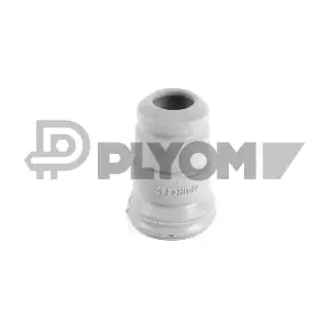 P750014 PLYOM