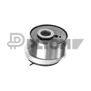 P770067 PLYOM