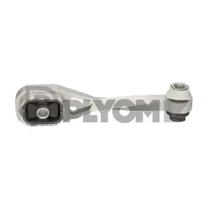 P020440 PLYOM