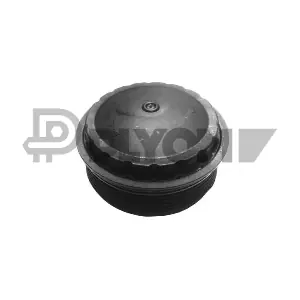 P081131 PLYOM