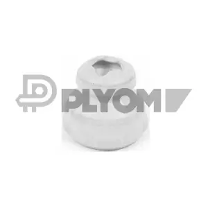 P762251 PLYOM
