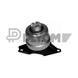 P461305 PLYOM