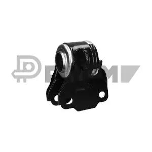 PLYOM P755443