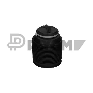 P753351 PLYOM