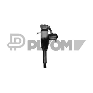 P752015 PLYOM