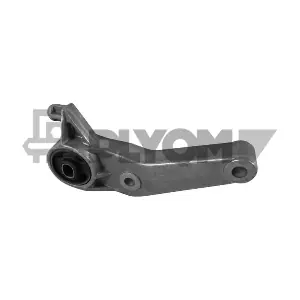 P756498 PLYOM